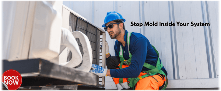 HVAC Mold Removal Joliet